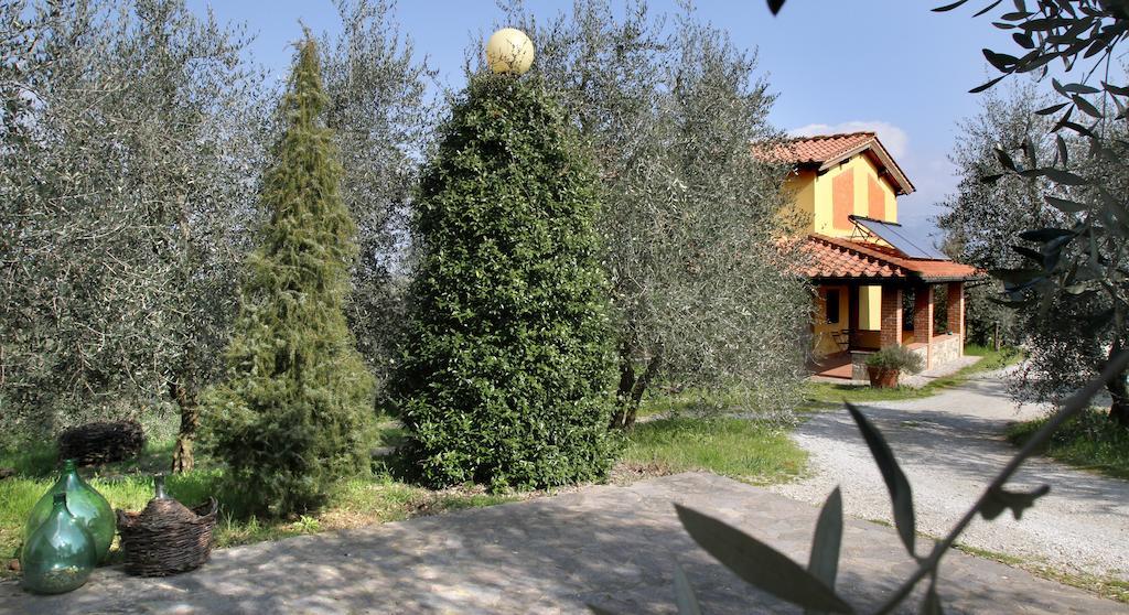 La Locanda Cuccuini Cavriglia Eksteriør bilde